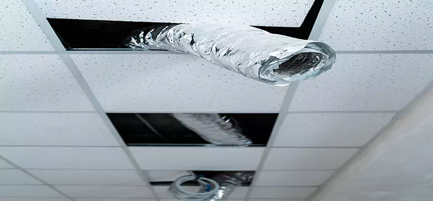 Our Air Duct Pet Hair Removal Services in East Hemet, CA