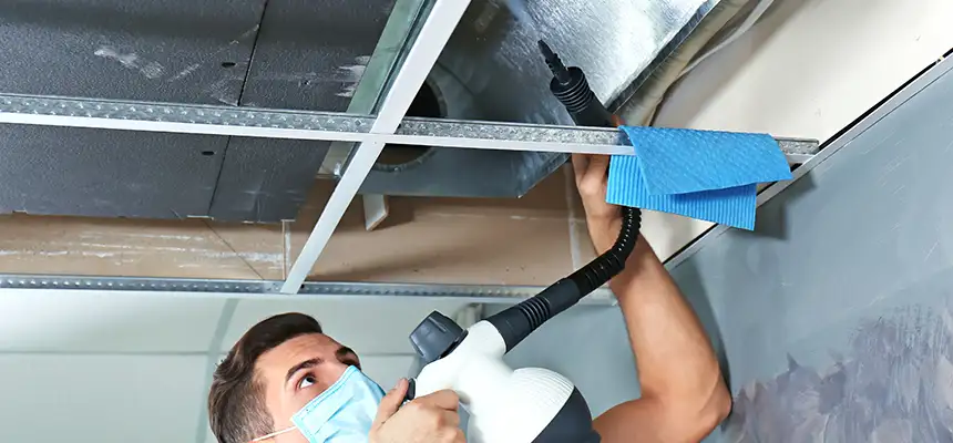 Our Air Duct Rodent Removal Services in East Hemet, CA