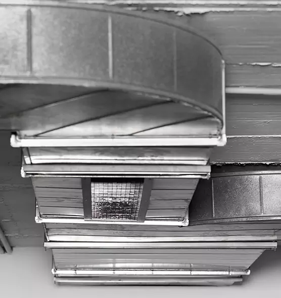 Professional Air Duct Pest Removal in East Hemet, CA