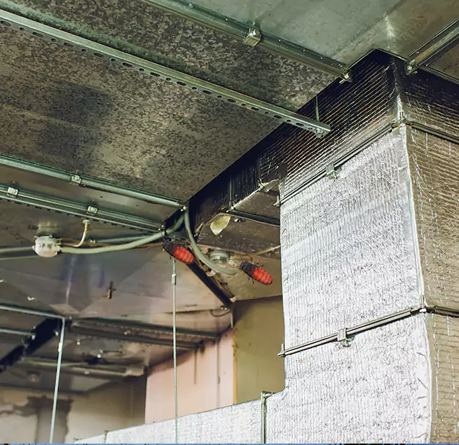 Why Homeowners & Businesses Trust Us in East Hemet, CA?