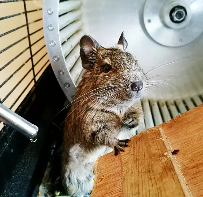 Why Homeowners & Businesses Trust Us East Hemet, CA